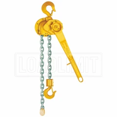 Chain hoist D85 | 750 0.75 t, 1.5 m Lift